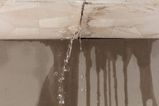Professional Structural Drying technician working in Ferrysburg, MI